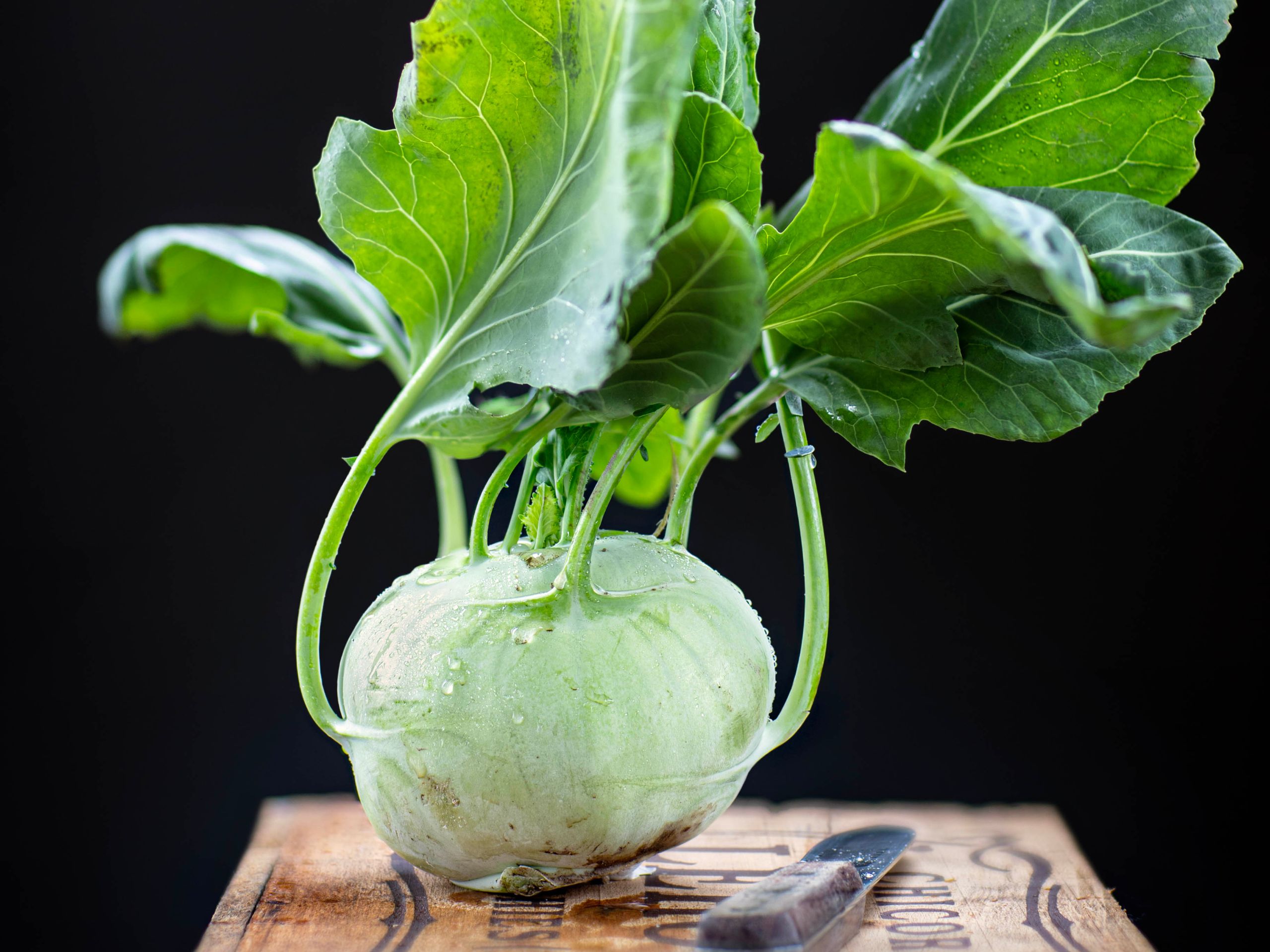 Chenot Diet Ingredient