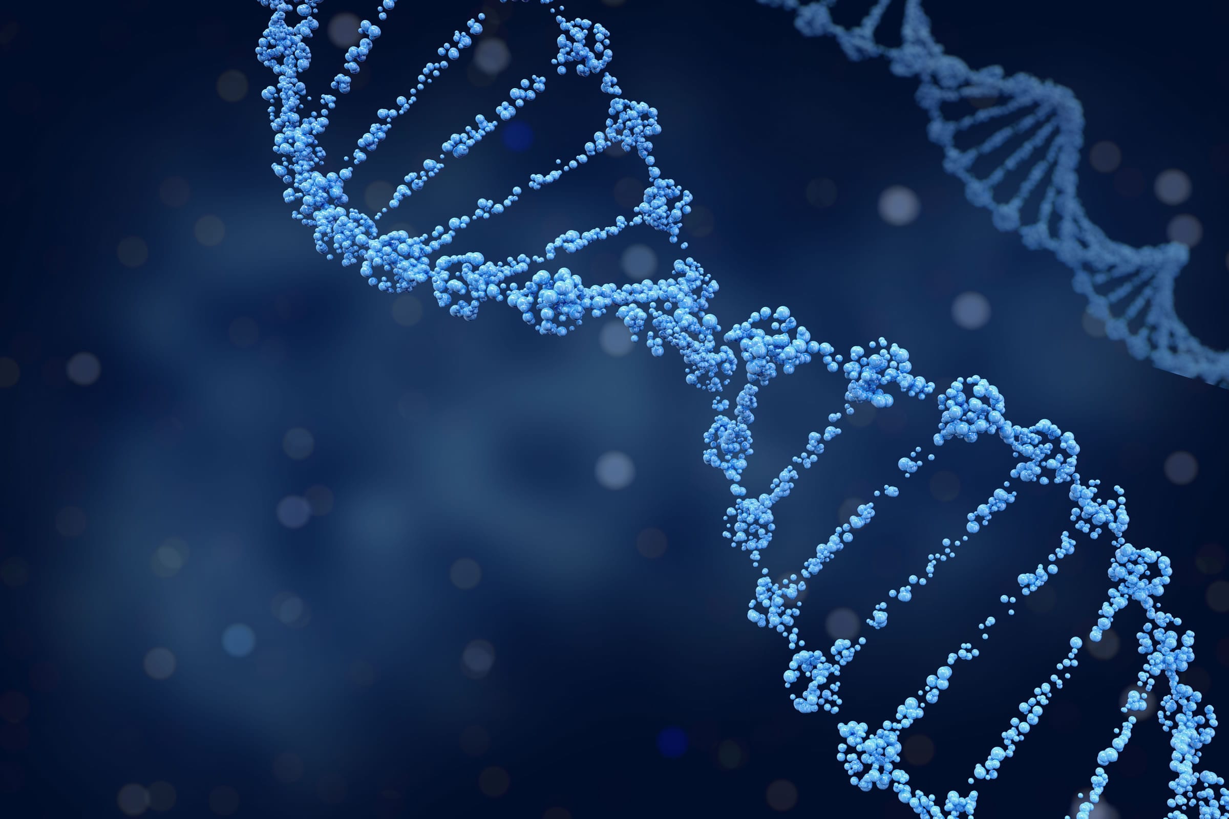 DNA Helix