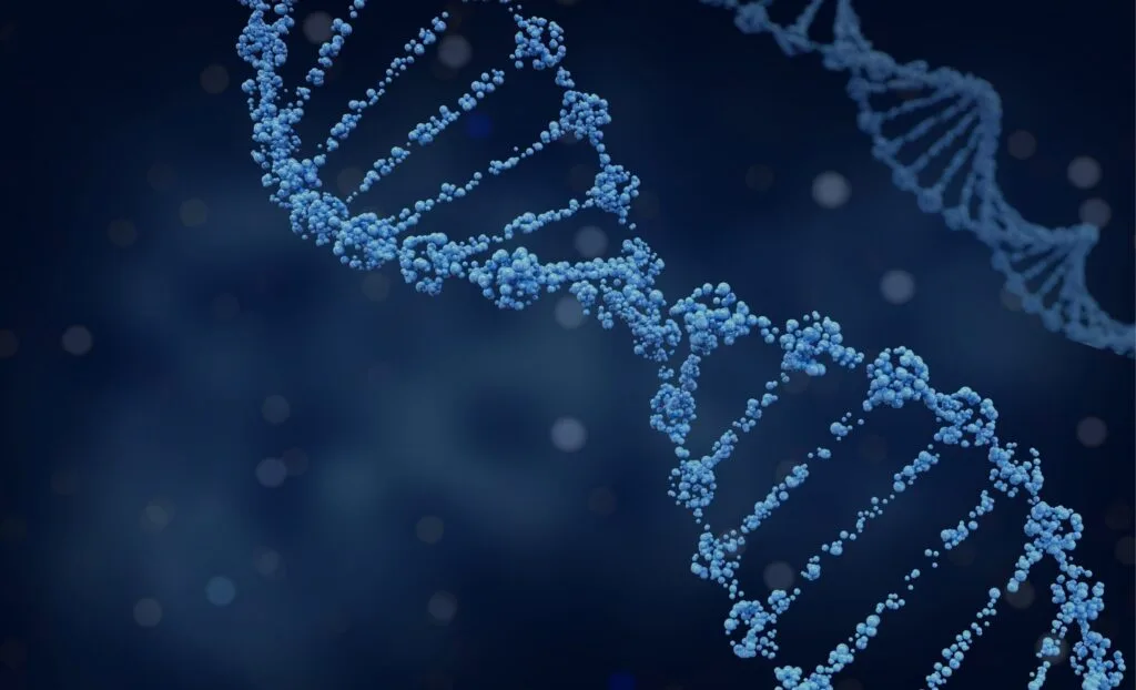 DNA spiral