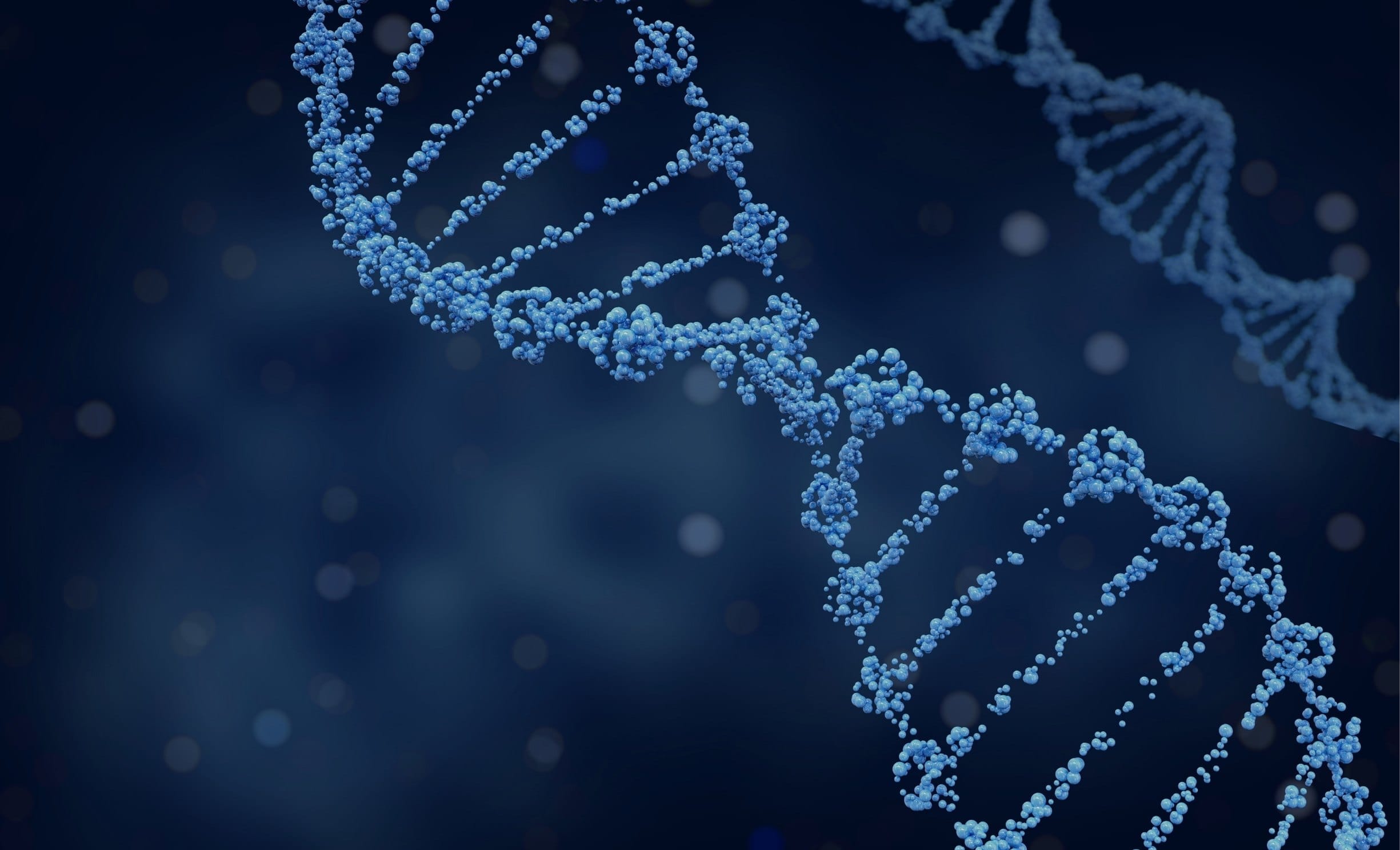 DNA spiral