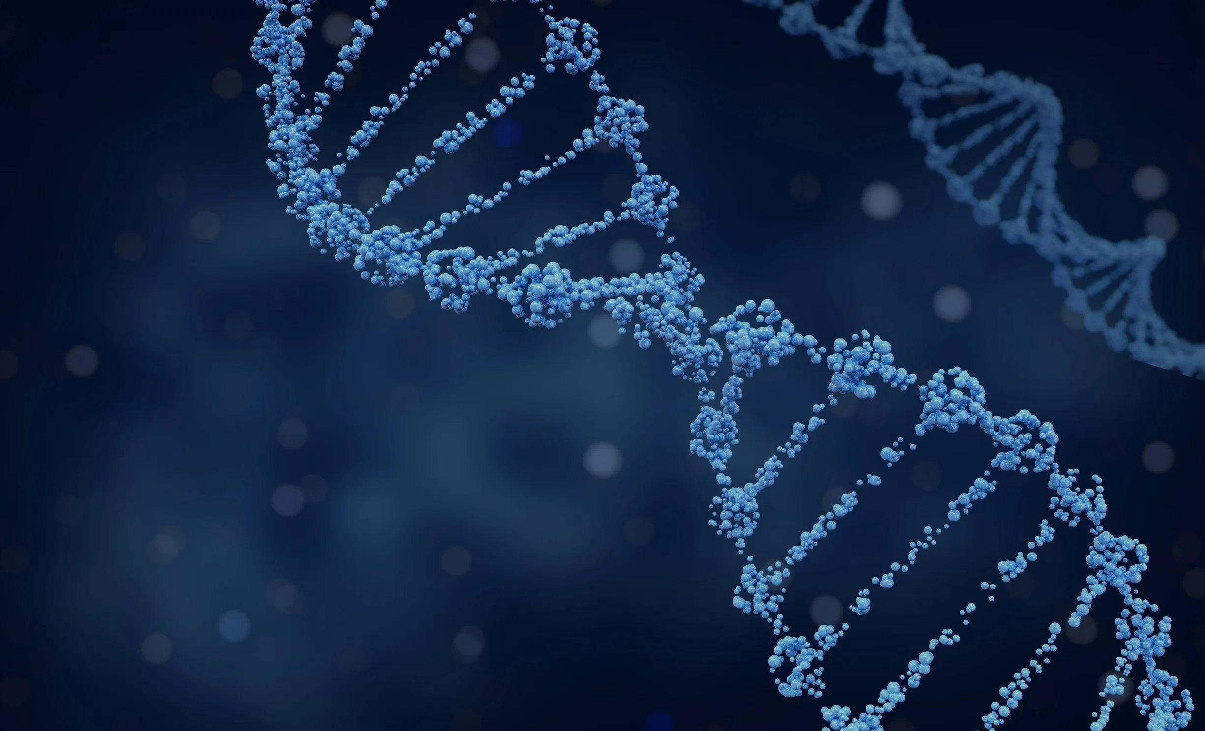DNA spiral