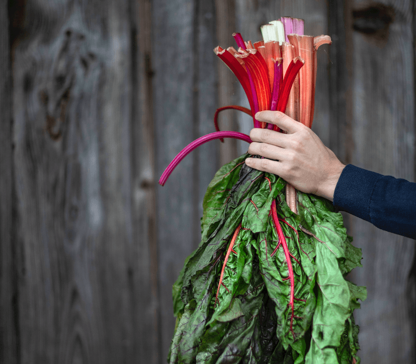 Fiber chenot cookbook