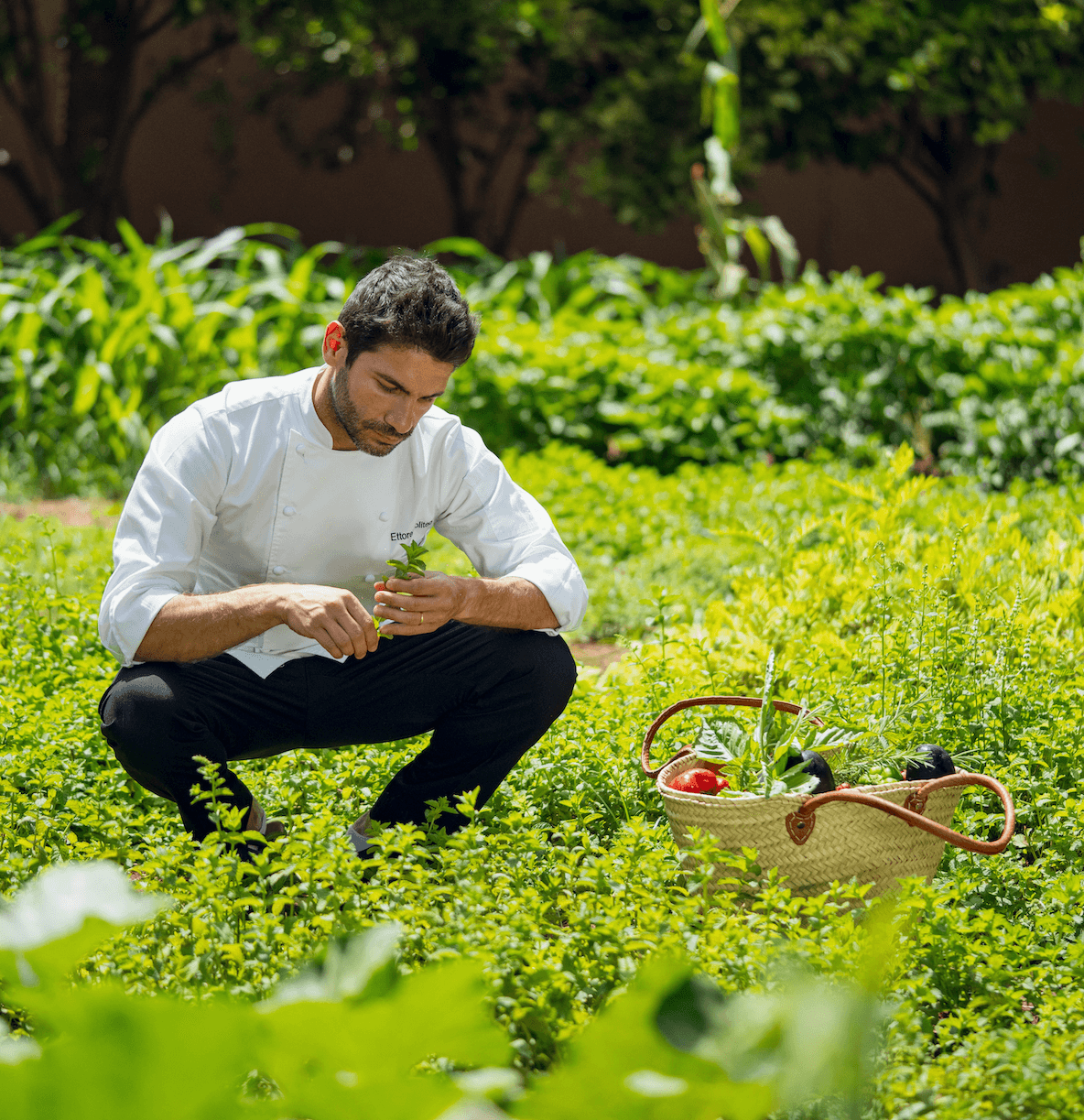 Ettore in the garden